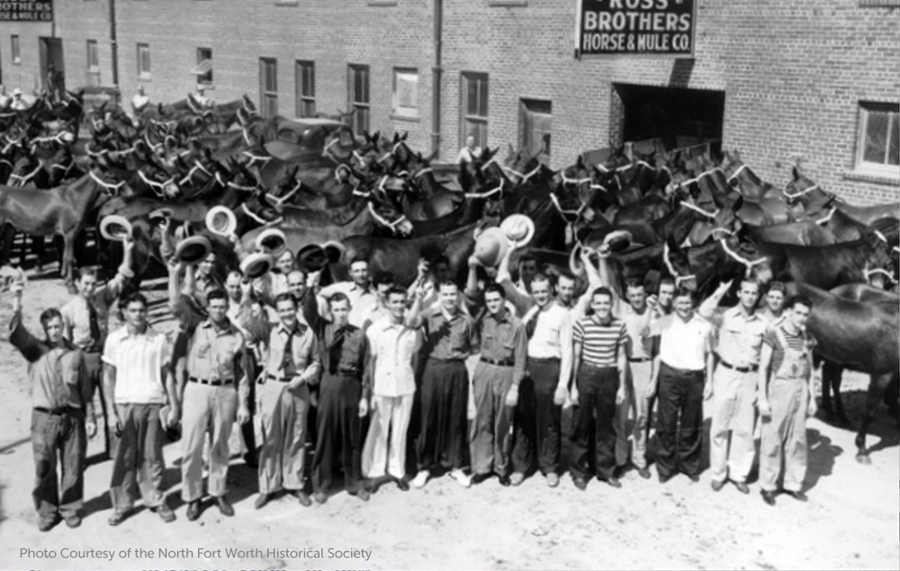 Texas Towns  The Fort Worth Stockyards 