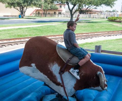 Mechanical Bull