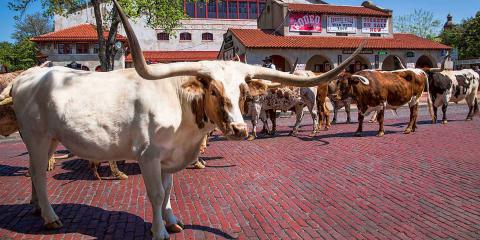 Stockyards