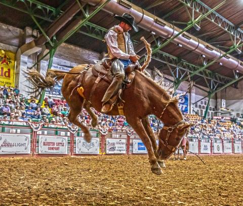 Stockyards NFR Experience