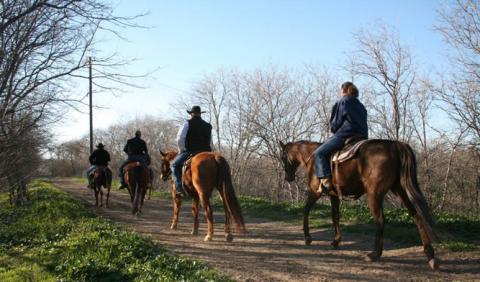 Stockyards Stables & Horesback Riding