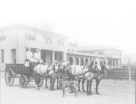 Stockyards