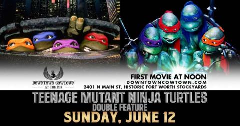 TEENAGE MUTANT NINJA TURTLES DOUBLE FEATURE