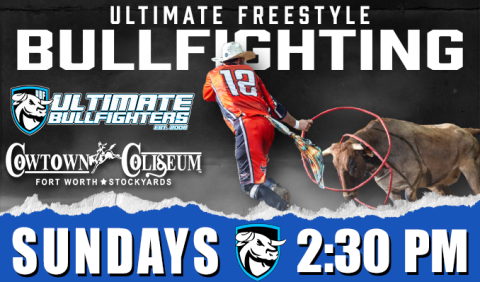 Ultimate Bull Fighters