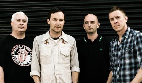Toadies