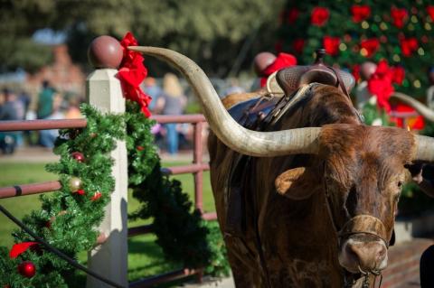 Fort Worth Stockyards Holiday