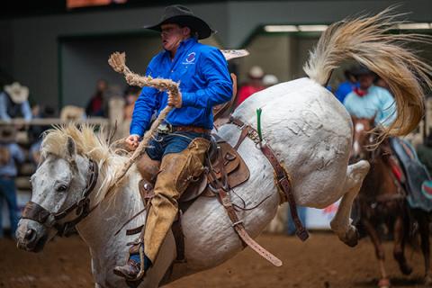 Ranch Rodeo Bucking Horse