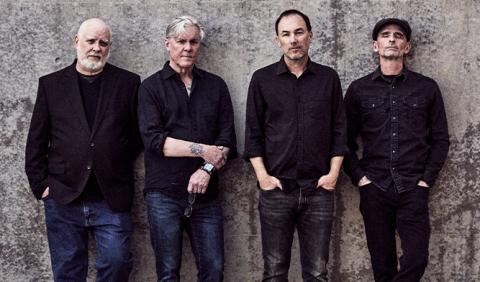 Toadies